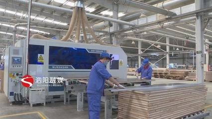泗陽:積極引導加快轉型推動木材加工和家具制造業做大做強