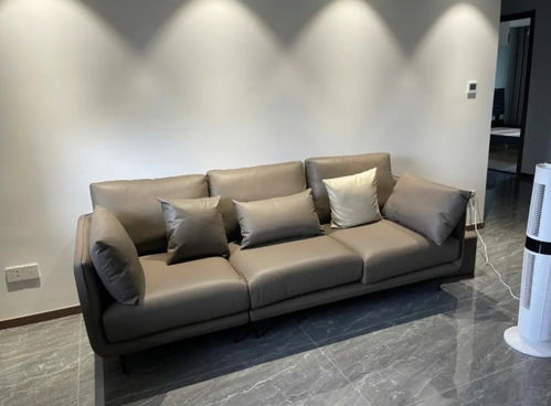 中國新的家具冠軍 登上銷售榜之首,沙發單品一年賣出4萬多件