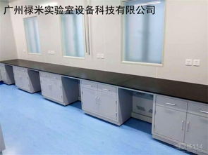 全鋼邊臺耐酸堿耐腐蝕制藥廠石油化工實驗室設備室家具定制